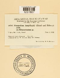 Image Associated With the Occurrence