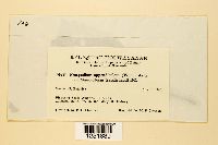 Image Associated With the Occurrence