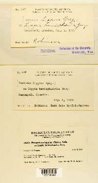 Image Associated With the Occurrence