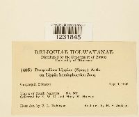 Image Associated With the Occurrence