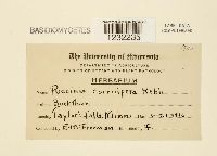 Puccinia coronifera image