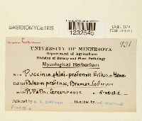 Puccinia graminis image