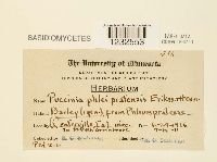 Puccinia graminis image