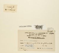 Image Associated With the Occurrence