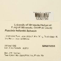 Image Associated With the Occurrence