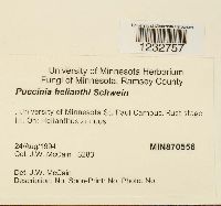 Image Associated With the Occurrence