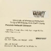 Image Associated With the Occurrence