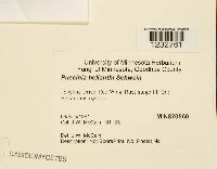 Image Associated With the Occurrence