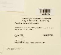 Image Associated With the Occurrence