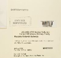 Image Associated With the Occurrence