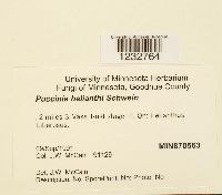 Image Associated With the Occurrence