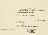 Image Associated With the Occurrence