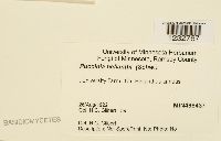 Image Associated With the Occurrence