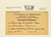 Image Associated With the Occurrence