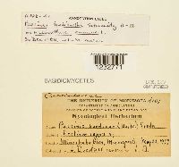 Image Associated With the Occurrence