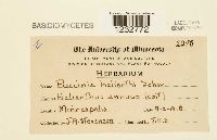 Image Associated With the Occurrence