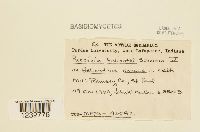 Image Associated With the Occurrence