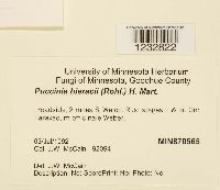 thumbnail image of current specimen