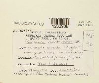 Image Associated With the Occurrence