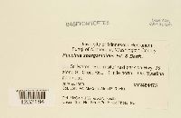 Image Associated With the Occurrence