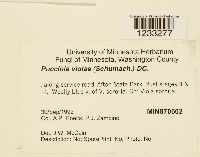 Image Associated With the Occurrence