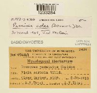 Image Associated With the Occurrence