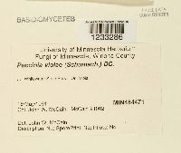 Image Associated With the Occurrence