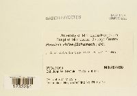 Image Associated With the Occurrence