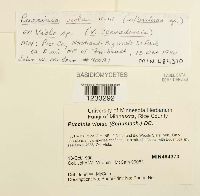 Image Associated With the Occurrence