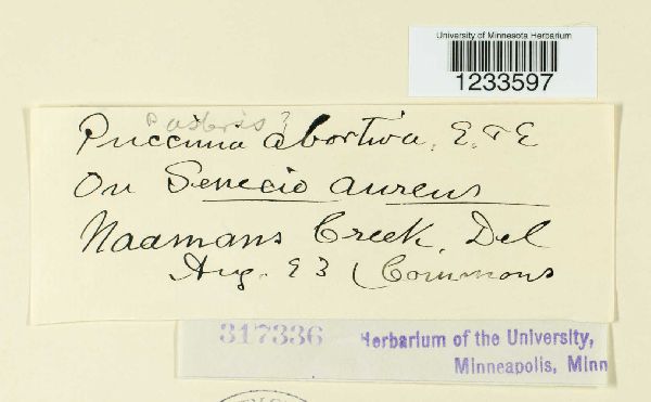 Puccinia abundans image