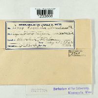 Image Associated With the Occurrence