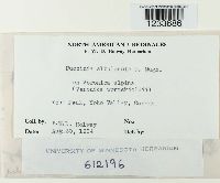 Puccinia albulensis image