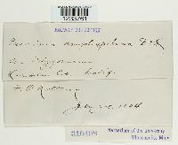 Image Associated With the Occurrence