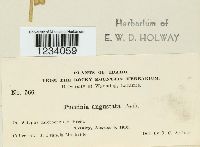 Image Associated With the Occurrence