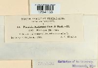 Puccinia antirrhini image