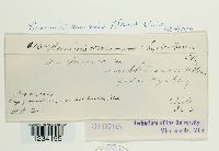 thumbnail image of current specimen
