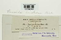 Image Associated With the Occurrence