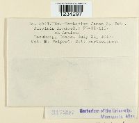 Image Associated With the Occurrence