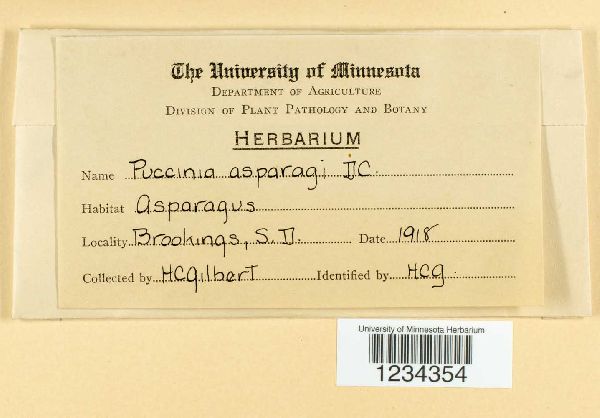 Puccinia asparagi image