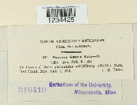 Puccinia cnici-oleracei image