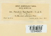 Image Associated With the Occurrence