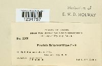 Image Associated With the Occurrence