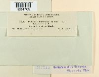 Puccinia bardanae image