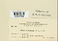 Image Associated With the Occurrence