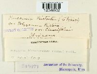 Image Associated With the Occurrence