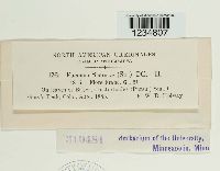 Puccinia bistortae image