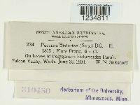 Puccinia bistortae image