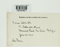 Puccinia calthae image