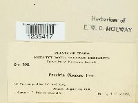 Image Associated With the Occurrence