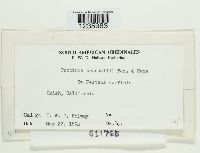 Puccinia coronifera image